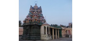 215. திருநெல்வாயில் அரத்துறை